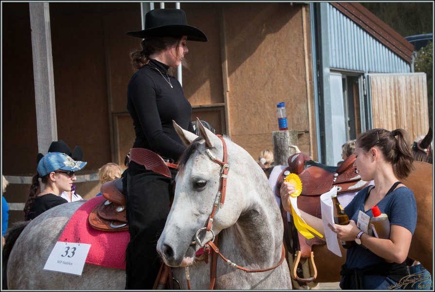 MP Stable21